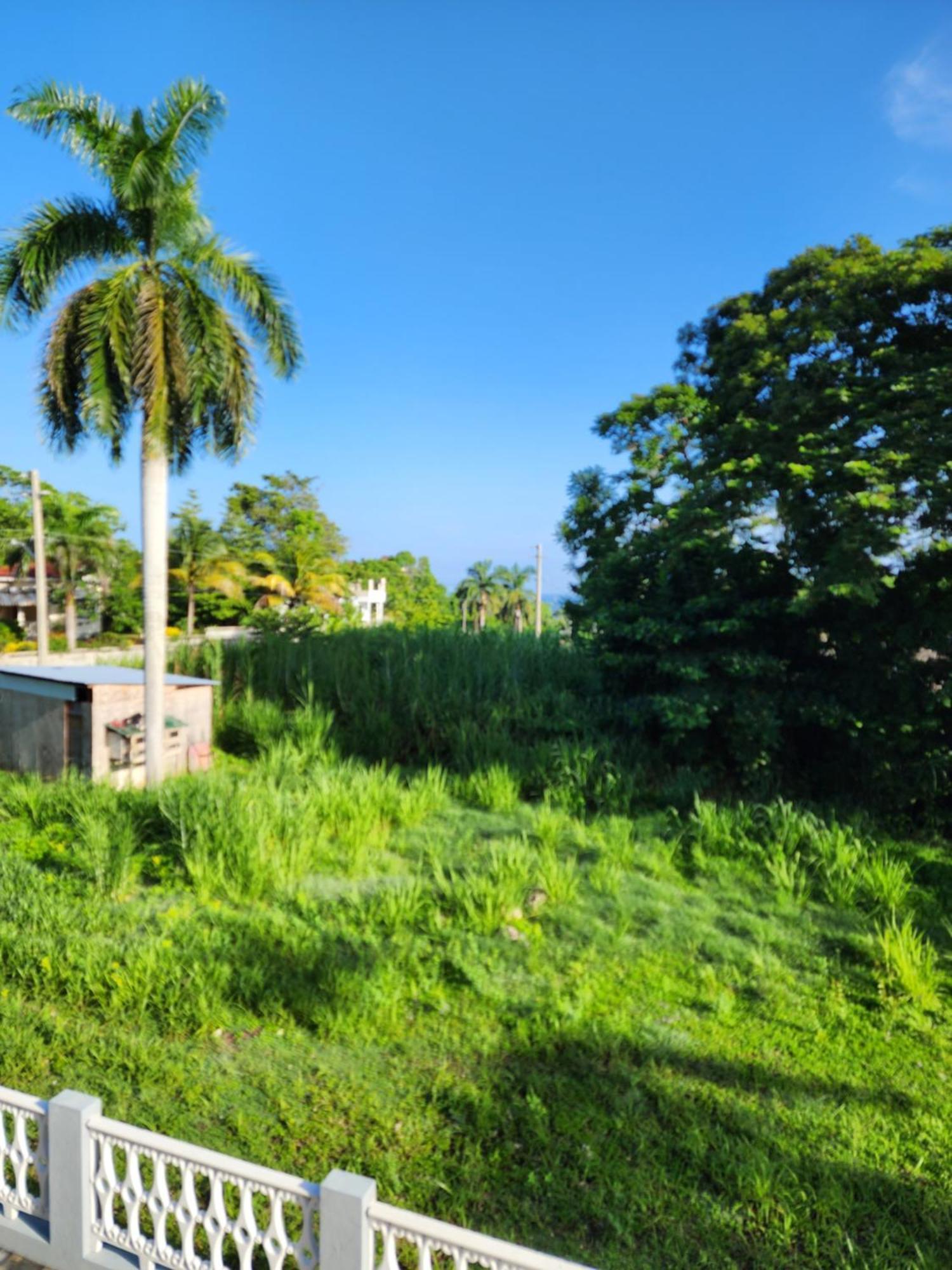 Paradise Nestled Between Montego Bay And Negril Hopewell エクステリア 写真